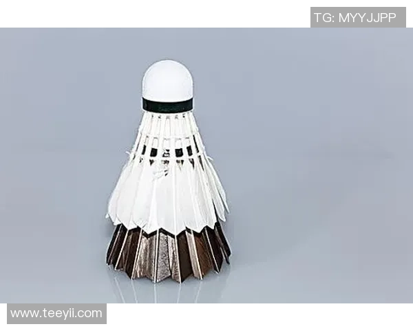 西安羽毛球队的灵活性揭秘：从训练到比赛的全景探索