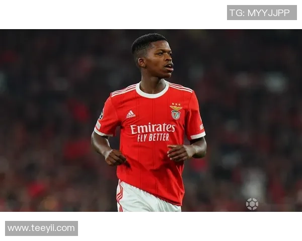 德甲精彩对决阿森纳逆转本菲卡引发争议判罚全场沸腾